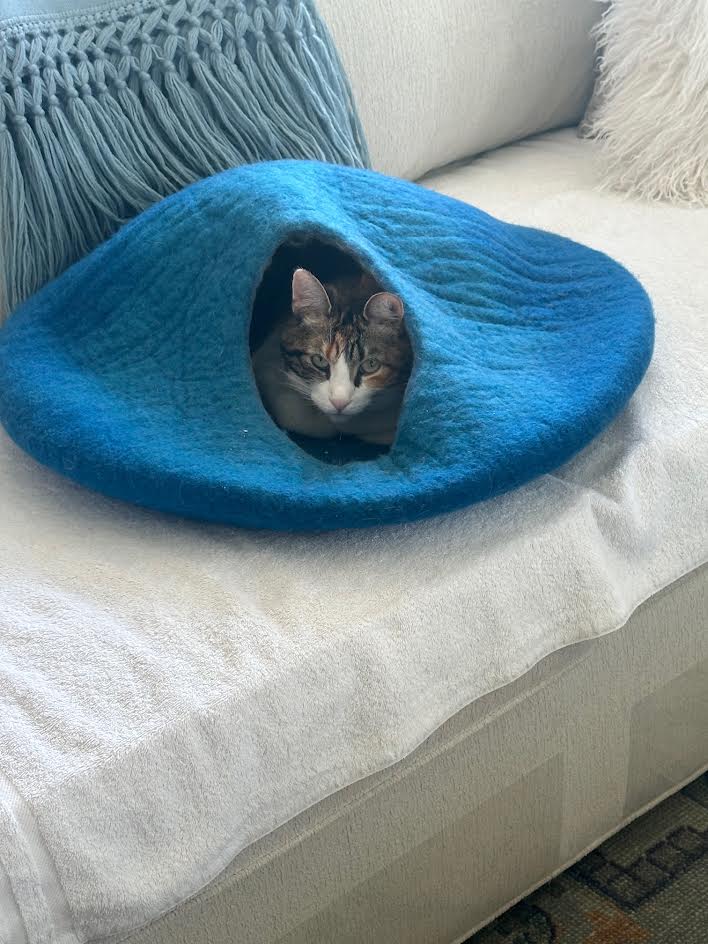 Premium Shaped Kitty House