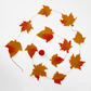 Holiday's  Garland