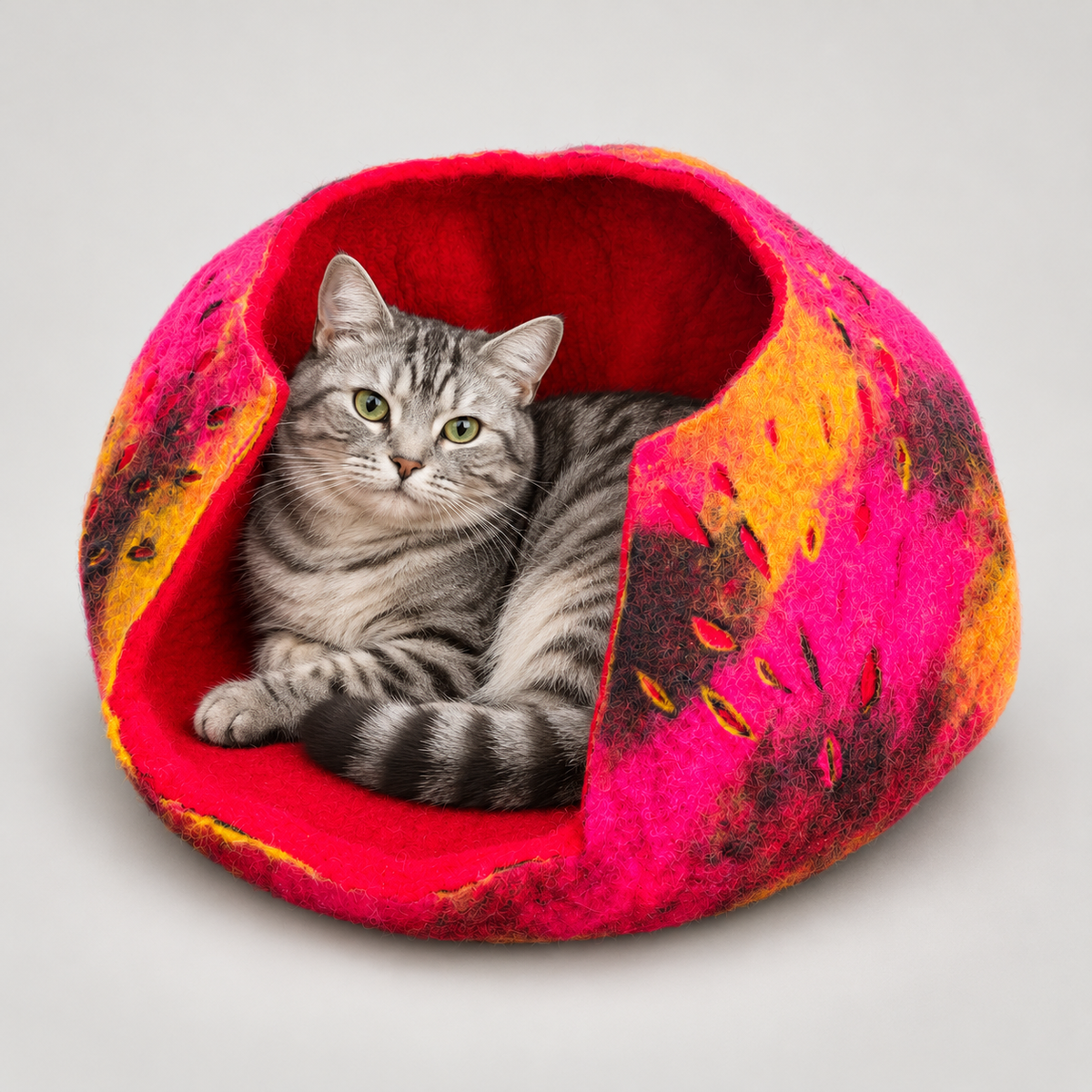 Silver tabby cat resting naturally inside the colorful wool cat cave