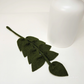 Hand Felted Green Ash Leaves